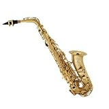 Cecilio 2Series Gold Plated Sandblast Alto Saxophone w / Carrying Case and Accessories - B00157JMOW