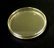 Petri Dishes with Pre-poured Agar and Swabs, 10 plates & 10 swabs