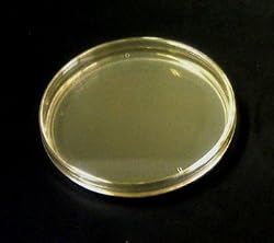 EZ BioResearch Pre-poured Agar Plates and Swabs, 10 plates & 10 swabs
