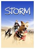 Storm