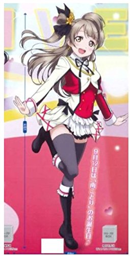 ラブライブ! PMフィギュア KOTORI-それは僕たちの奇跡 南ことり