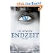 Endzeit: Thriller