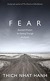 Fear : essential wisdom for getting through the storm