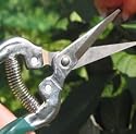 Garden Fruit and Flower Snips with Twine Gift Set