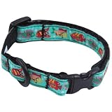 Tropical Fishes Breakaway Cat Collar