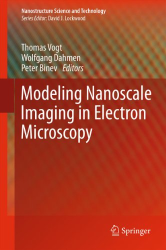 Modeling Nanoscale Imaging in Electron Microscopy: 0 (Nanostructure Science and Technology)