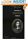 Meaning in Spinoza's Method