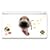 Labrador Retriever Puppy - Official Hanadeka Club Animal Decorative Protector Skin Decal Sticker for Nintendo DS Lite