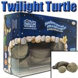 Twilight Turtle