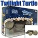 Cloud B : Twilight Turtle