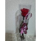 プリザーブドフラワーギフト　1輪の赤い薔薇　枯れない花　葉や茎まで枯れないプリザーブド　簡易クリアケース入　簡易ラッピング無料◆1輪花用フロスト手提げ袋付◆