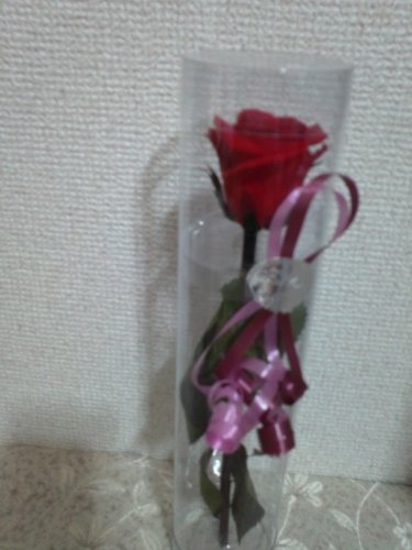 プリザーブドフラワーギフト　1輪の赤い薔薇　枯れない花　葉や茎まで枯れないプリザーブド　簡易クリアケース入　簡易ラッピング無料◆1輪花用フロスト手提げ袋付◆
