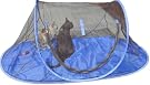 Outdoor Feline Funhouse...
