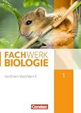 Produkt-Bild: Fachwerk Biologie - Realschule Nordrhein-Westfalen: Band 1 - Sch&uuml;lerbuch
