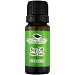 Bug Off Synergy. Essential Oil Blend. 10 ml (1/3 oz). 100% Pure, Undiluted, Therapeutic Grade. (Blend of: Citronella, Eucalyptus, Cedarwood, Lemongrass, Lavender, Litsea, Tea Tree, Patchouli & Catnip)