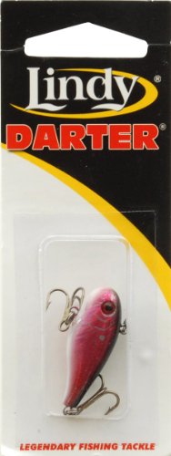 Lindy Darter - Red Glow - 2 in