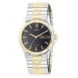 Citizen Mens Two-Tone Stainless Steel Watch #AJ0404-91E by Citizen