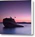 Bonsai Rock Art
41IzD%2BByOmL. SL75 Bonsai Rock Art