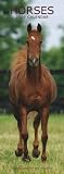 Horses 2009 Slimline Calendar