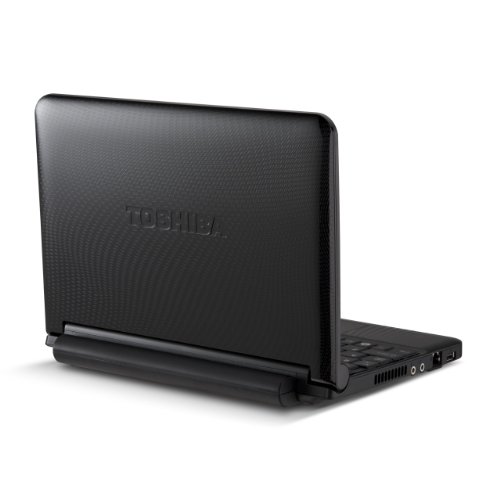 Toshiba Mini NB255-N245 10.1-Inch Black Best Deal Price