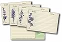 4" X 6" Assorted Herb Recipe Cards with Covers