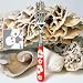 image and picture of Sabre Hawaiian Grey Ladle - 10 1/2 in./HAWAIIAN6XG
