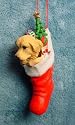 Bobble Head Nodder Golden Retriever Dog Christmas Ornament