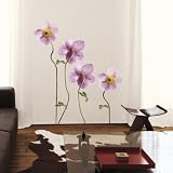 (20x28) Cedric Porchez Japan Anemones Wall Stickers