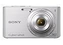 Sony Cyber-shot DSCW610 14.1 MP Digital Camera with 4x Optical Zoom and 2.7-Inch LCD (Silver) (2012 Model)