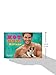 Hot Guys and Kittens