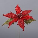 41J%2BCqsVEyL. SL160  8 RED NUEVO POINSETTIA PICK W/TWO LEAVES.