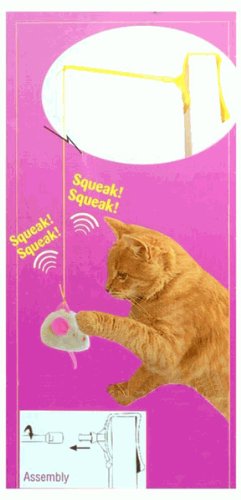 Our Pets Play-N-Squeak – Door Hanger