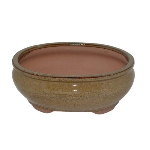20cm Mustard Oval Glazed Bonsai Pot