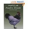 Popular Poultry Breeds