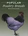 Popular Poultry Breeds