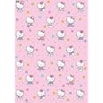 Hello Kitty Birthday Gift Wrapping Set - 2 Sheets of Wrapping Paper & 2 Tags
