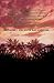 Because It Is My Blood: A Novel (Birthright, 2)