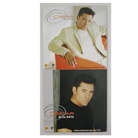 Oscar De La Hoya Poster