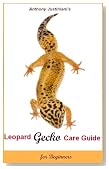Leopard Gecko Care Guide For Beginners