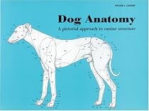 Dog Anatomy: A Pictorial Approach to Canine Structure