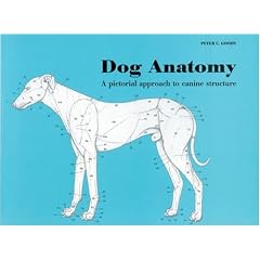 Dog Anatomy: A Pictorial Approach to Canine Structure