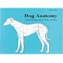 Dog Anatomy
