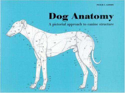 Dog Anatomy: A Pictorial Approach to Canine Structure