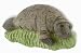 Caribe 67-148 Manatee On Seagrass-Grey/Green ()