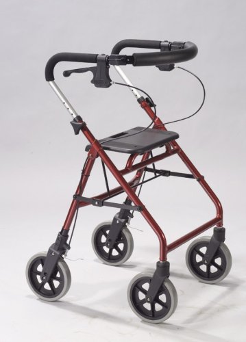Buy Drive Medical 765R Feather-Lite Aluminum Rollator 4 Wheel Lever Lock Rollator Petite Red