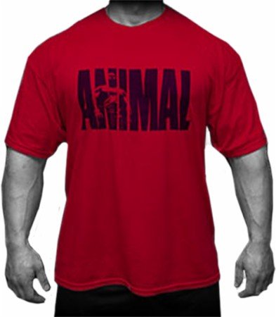 Animal T Shirt - Animal Logo T-Shirt Red 1 Medium