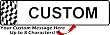 Customized Front Registration Plates  Checkered Flag