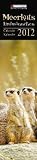 Erdmännchen 2012 Slimline: Meerkat