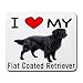 I Love My Flat Coated Retriever