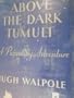 Above the dark tumult, an adventure,